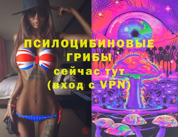 spice Алексеевка