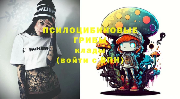 прущие грибы Покров
