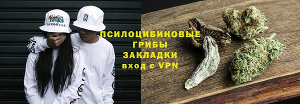apvp Алзамай