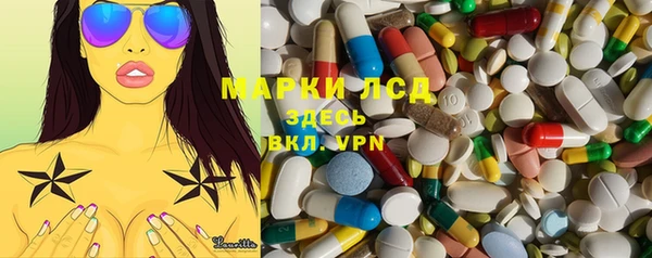 apvp Алзамай